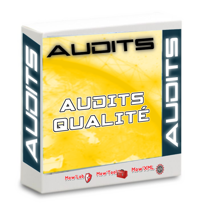 Audit Qualité Basic