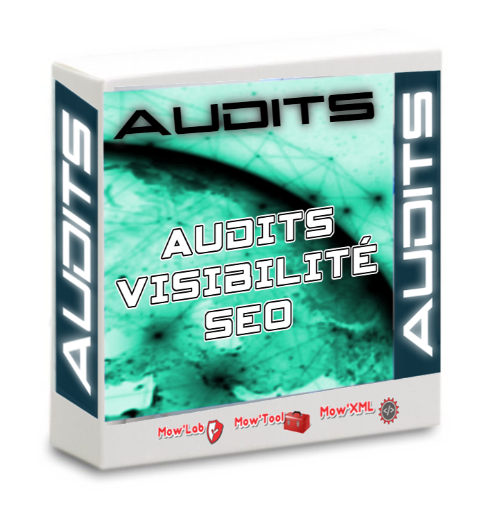 Audit SEO Premium